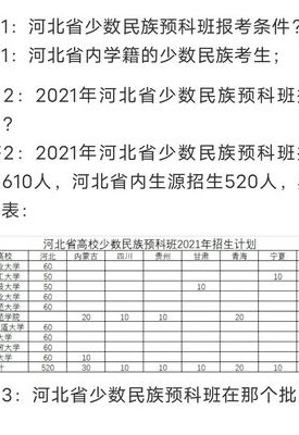 民族预科班有哪些学校（民族预科班报名条件）