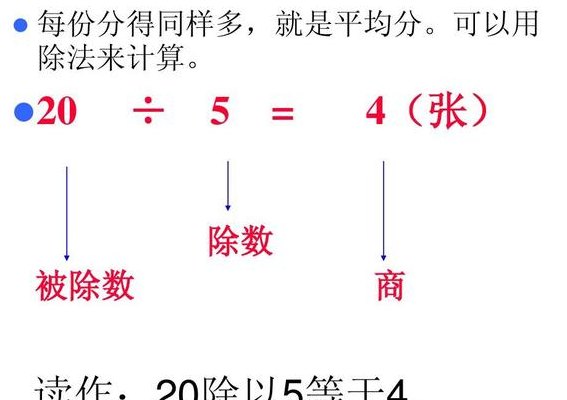 除数与被除数怎么区分（除数与被除数的概念）