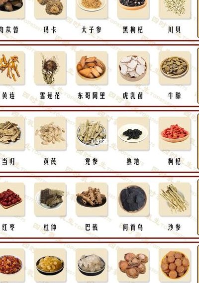 女士十大滋补补品（身体虚弱最佳八大补品）