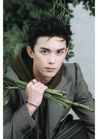 中国男明星（中国男明星大全）