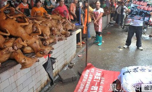 2018年广西玉林狗肉节（广西玉林6月21日狗肉节国际盛宴）