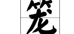 此的组词（笼的组词）