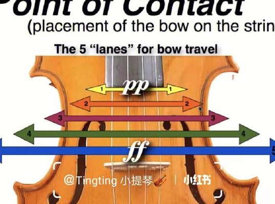小提琴英语怎么说（小提琴英语怎么说读音）