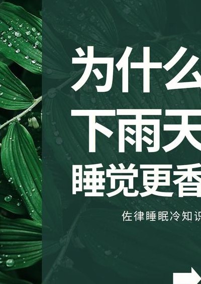 下雨天睡得更香（下雨天睡得更香说说）