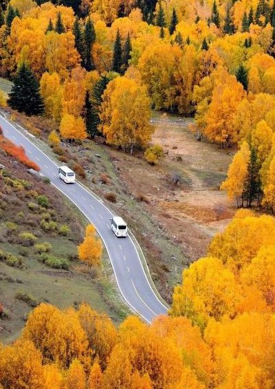 中国自驾游最美公路（我国最美的3条自驾游公路）
