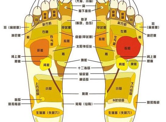 脚底穴位图（脚底疼痛部位图解）