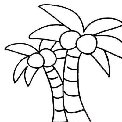 椰树简笔画（椰树简笔画怎么画）