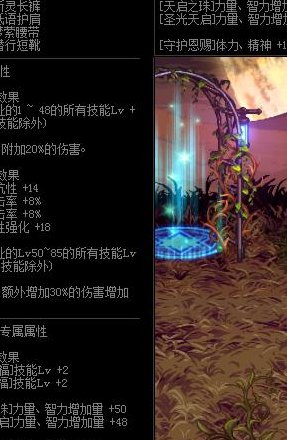 兰总套是什么（dnf兰总是什么装备）