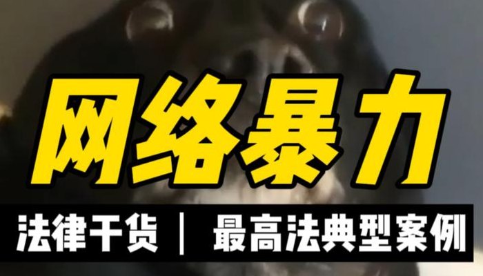 著名网络暴力案例（经典网络暴力案例）