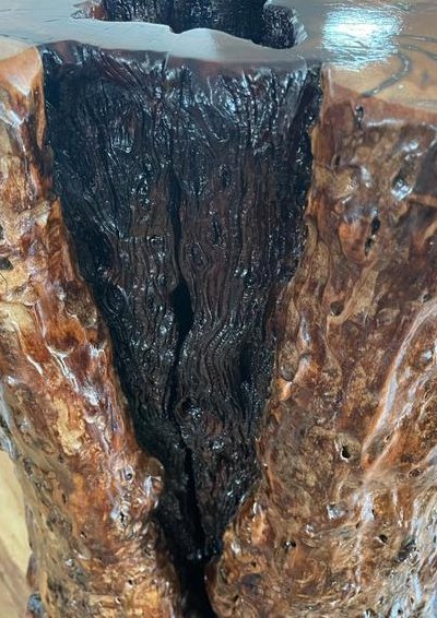 雷击木有什么作用（雷击木真的有用吗）