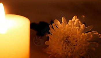 菊花图片祭奠（菊花图片祭奠亲人 蜡烛）