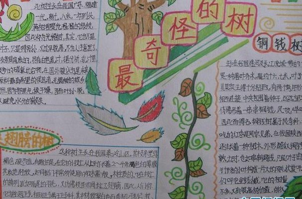 奇特的树（奇特的树阅读短文）