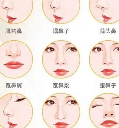 各种鼻子类型图片介绍（各种鼻子类型图片及命运）