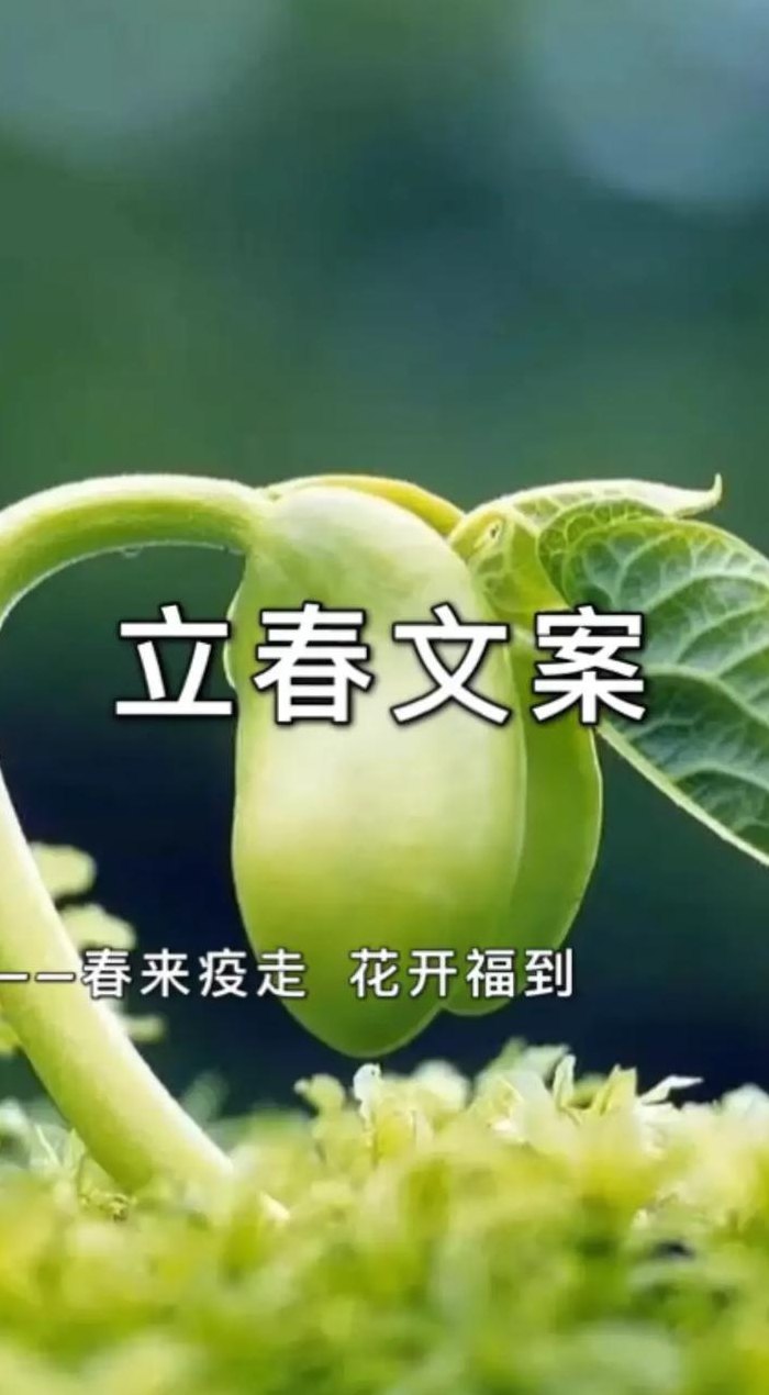 2019年2月4号几点立春（2019年2月立春是几号）