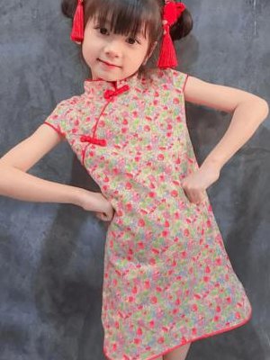 小萝莉是什么意思的简单介绍