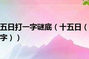 十五日打一字（十五日打一字谜底是什么）