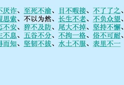 什么什么不什么成语（什么什么不什么成语有）