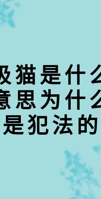 非法吸猫是什么意思（非法吸猫是啥意思是什么）