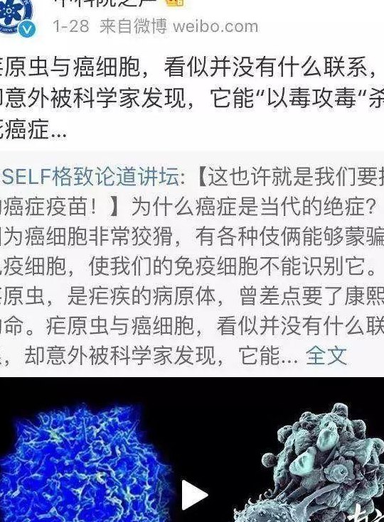疟原虫治癌（疟原虫治癌最新消息）