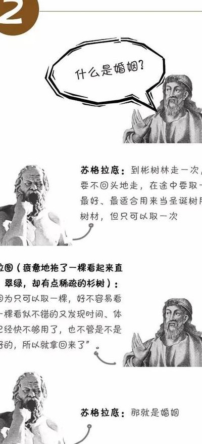 柏拉图式是什么意思（柏拉图式思想是什么意思）
