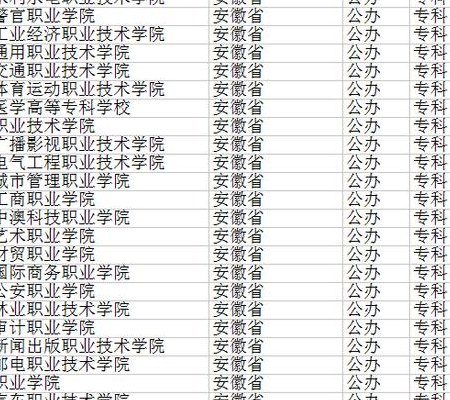 合肥大专学校有哪些（合肥大专学校有哪些中考）