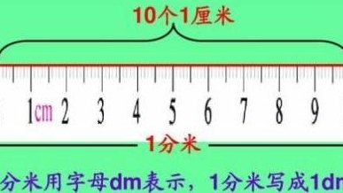十公分有多长（十公分有多长啊）