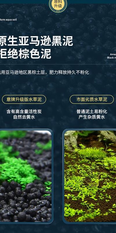 水草泥能用多久（水草泥和陶粒砂哪种好）