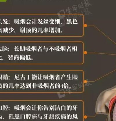 新手抽烟教程图解（新手抽烟教程图解不过肺）