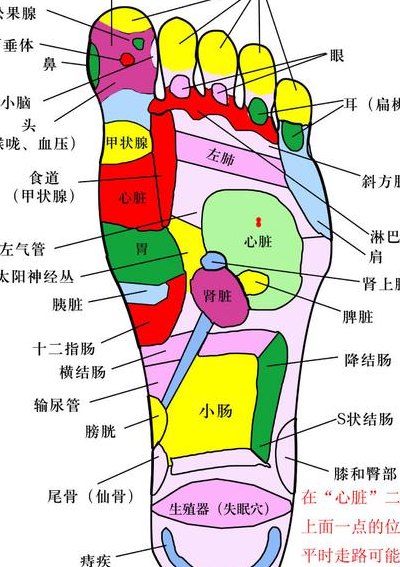 脚上穴位图解（痣在脚上部位图解）