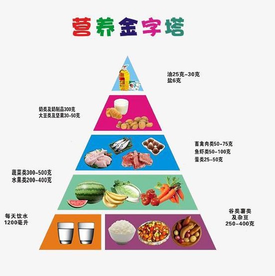营养金字塔（营养金字塔图片）