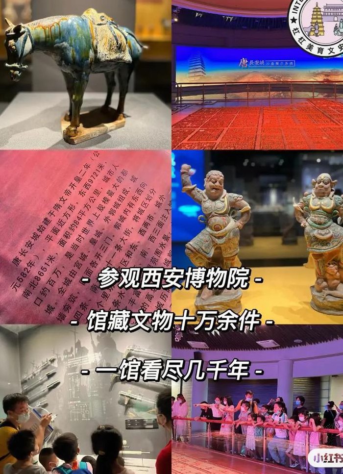 西安大雁塔介绍（西安大雁塔介绍历史文化）