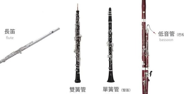 木管乐器有哪些（木管乐器有哪些乐器名称）