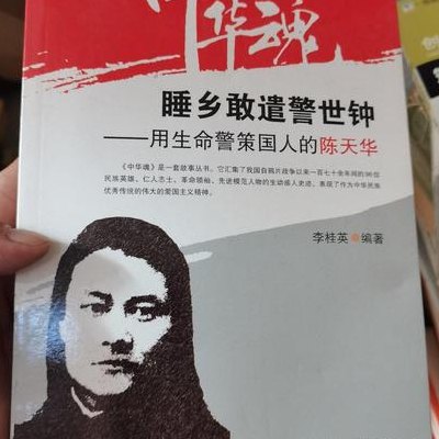 陈天华简介（陈天华著作）