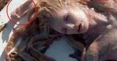 美人鱼的真实样子（美人鱼的真实样子恐怖视频）