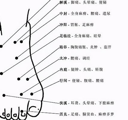 脚上的穴位图解的简单介绍