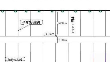 小型养猪场设计图（小型养猪场猪舍建设平面图）