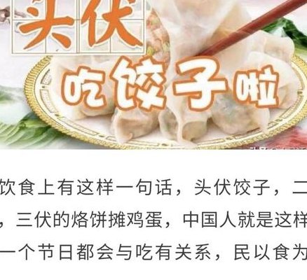 头伏饺子二伏面的由来（头伏饺子二伏面,三伏烙饼摊鸡蛋图片）