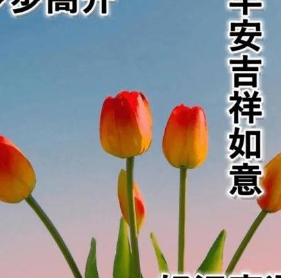 新早上好漂亮图片大全（新早上好漂亮图片大全最美）