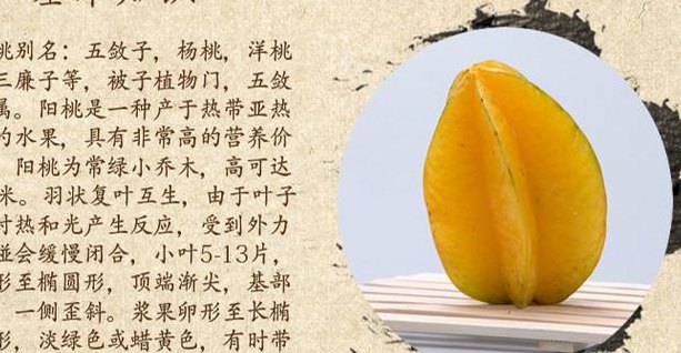 杨桃的功效与副作用（杨桃的功效与副作用禁忌）