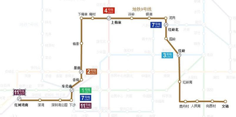 深圳九号线线路图（深圳九号线线路图最新）