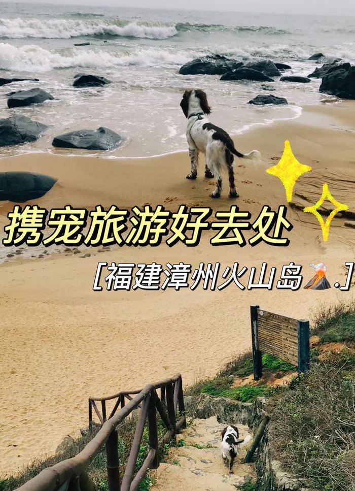 漳州火山岛攻略（漳州火山岛门票价格）