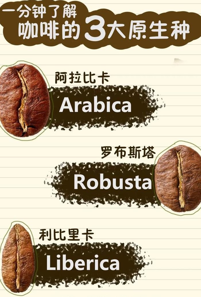 咖啡豆种类（咖啡豆种类及区别）