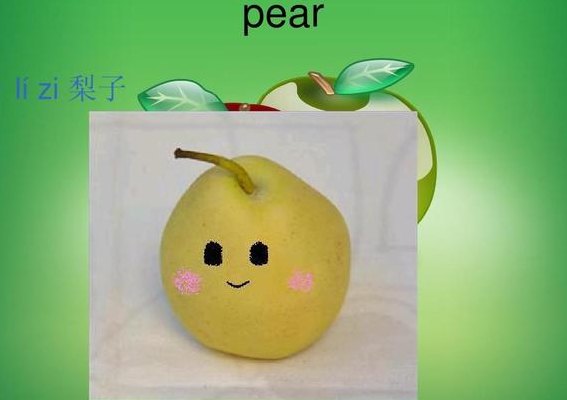 梨子的英文（我最喜欢的水果是梨子的英文）
