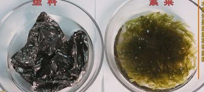 紫菜是塑料做的吗（紫菜是塑料做的吗有毒吗）