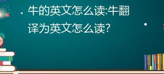 公牛英文怎么说呢（公牛英文怎么念）