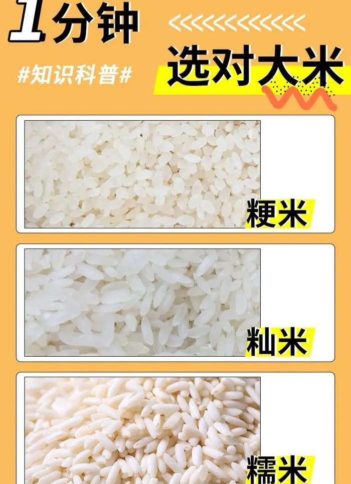 粳米是什么米（长粒粳米是什么米）