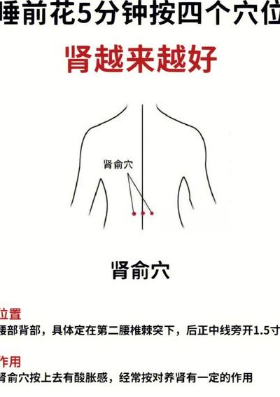 肾俞怎么读（肾俞怎么读拼音）