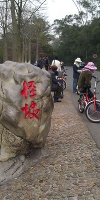 厦门怪坡在哪里（厦门怪坡在哪个地方有没有好玩好吃的）
