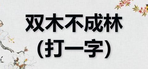 双木不成林（双木不成林正确答案）