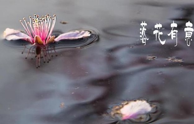 落花有意流水无情意思（落花有意流水无情是哪首诗里的）